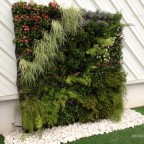Instalación del jardín vertical DIY green&fun de Terapia urbana 16