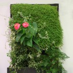 Terapia Urbana jardin vertical DIY Habitat living wall 09
