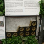 Sistema de jardín vertical de Biotecture en Chelsea Flower Show