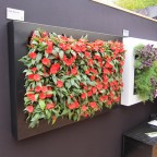 Lienzo naturado slimgreenwall mediano negro en stand Scotscape en 100 Chelsea Flower Show