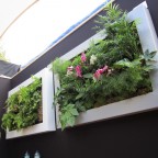 Lienzos naturados slimgreenwall pequeños en stand Scotscape en Chelsea Flower Show