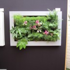 Lienzo naturado slimgreenwall pequeño en stand Scotscape en Chelsea Flower Show