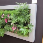 Lienzo naturado slimgreenwall pequeño gris en stand Scotscape en Chelsea Flower Show 2