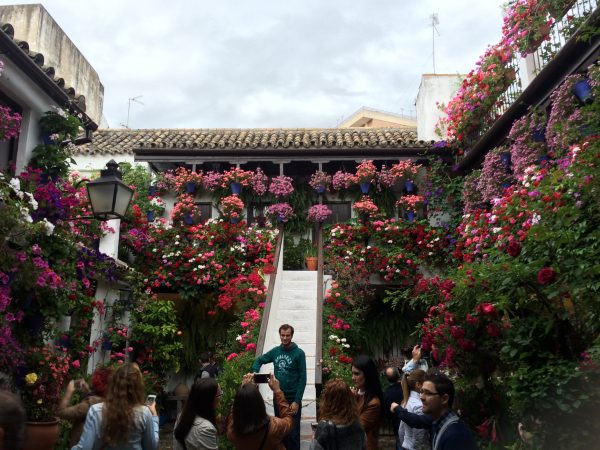 Naturación Urbana y patios de Córdoba